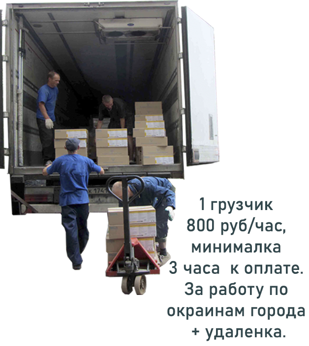 Заказать грузчиков на склад в Новосибирске